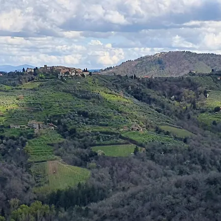 別荘 Tuscan Hills - Dimora Storica In Chianti