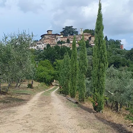 Tuscan Hills - Dimora Storica In Chianti カヴリーリア